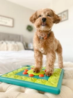 Nina Ottosson Multi Puzzle 11 Nina Ottosson Multi Puzzle -Pet Supplies Sale extra 1029