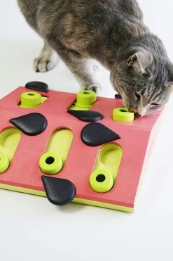 Nina Ottosson Melon Madness Puzzle & Play 12 Nina Ottosson Melon Madness Puzzle & Play -Pet Supplies Sale extra 1035