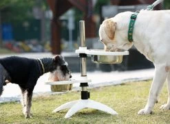 Super Design Multi Level Feeder 12 Super Design Multi Level Feeder -Pet Supplies Sale extra 1049