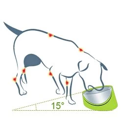 Super Design 15 Degree Tilted Bowl Green -Pet Supplies Sale extra 1065