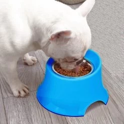 Super Design Raised Tall Bowl Blue -Pet Supplies Sale extra 1107