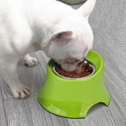 Super Design Raised Tall Bowl Green -Pet Supplies Sale extra 1112