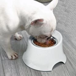 Super Design Raised Tall Bowl Cream -Pet Supplies Sale extra 1122