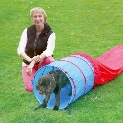 PAWISE Agility Tunnel -Pet Supplies Sale extra 1171