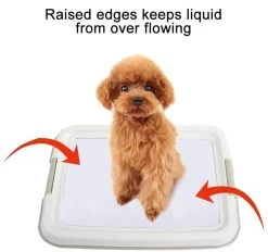PAWISE Pee Pad Tray -Pet Supplies Sale extra 1175