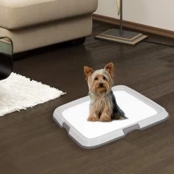 PAWISE Pee Pad Tray -Pet Supplies Sale extra 1176