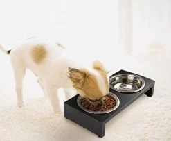 PAWISE Elevated Deluxe Pet Diner -Pet Supplies Sale extra 1205
