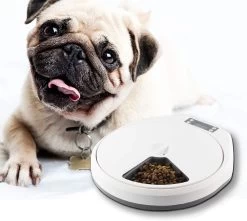 PAWISE Automatic Pet Feeder 5 Meal -Pet Supplies Sale extra 1219