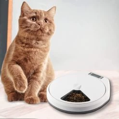 PAWISE Automatic Pet Feeder 5 Meal -Pet Supplies Sale extra 1220