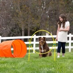 Outward Hound OH Outdoor Zip Zoom Agility Kit -Pet Supplies Sale extra 1334