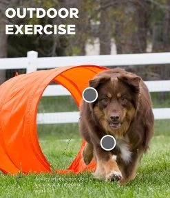 Outward Hound OH Outdoor Zip Zoom Agility Kit -Pet Supplies Sale extra 1335