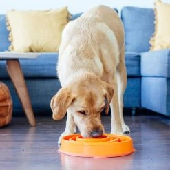 Outward Hound FunFeeder Coral Orange -Pet Supplies Sale extra 1349 1