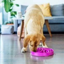 Outward Hound FunFeeder Flower Purple -Pet Supplies Sale extra 1359 1