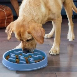 Outward Hound FunFeeder Notch Blue -Pet Supplies Sale extra 1364