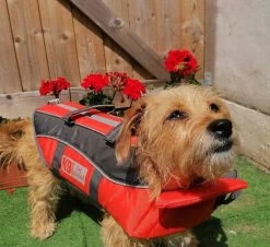 K9 Pursuits Float-Coat Life Jacket 13 K9 Pursuits Float-Coat Life Jacket -Pet Supplies Sale extra 1407 1