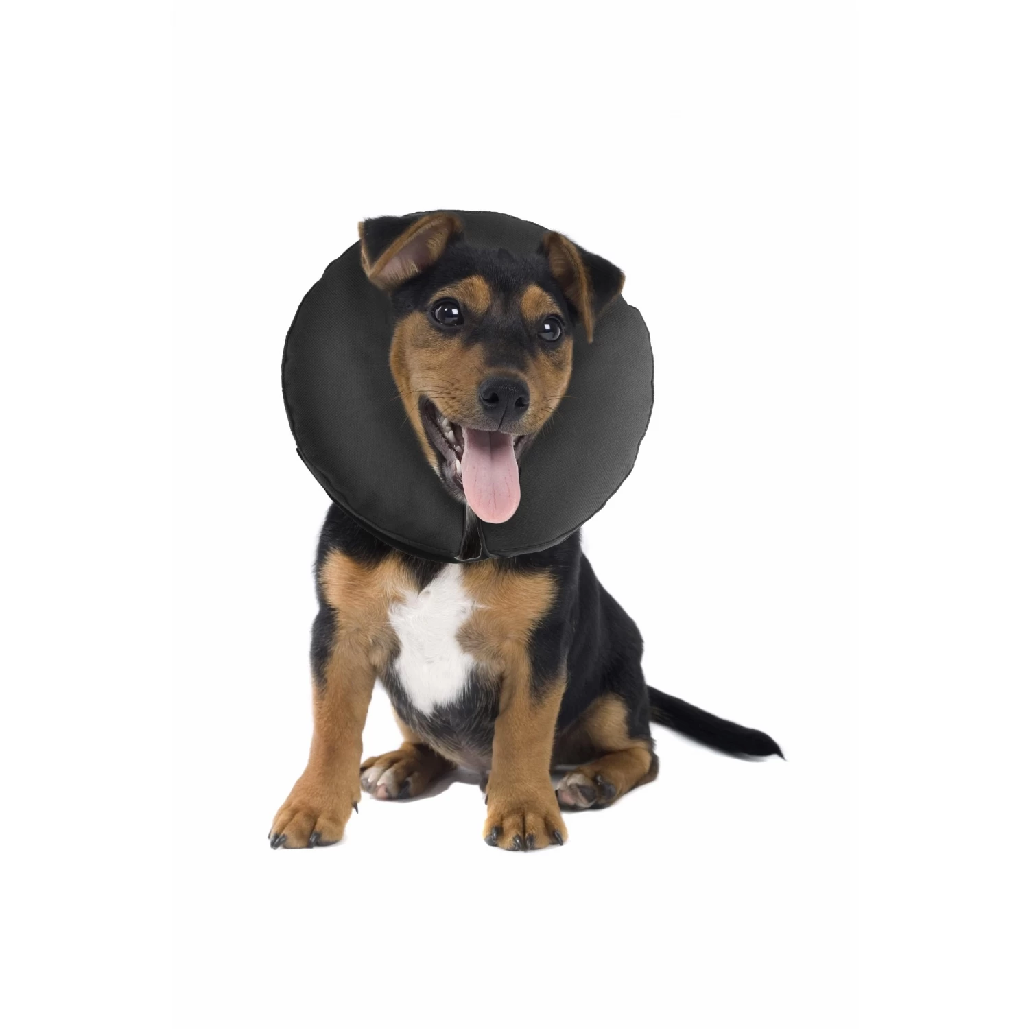 ProCollar Recovery Collar XS 4 ProCollar Recovery Collar XS - Image 2