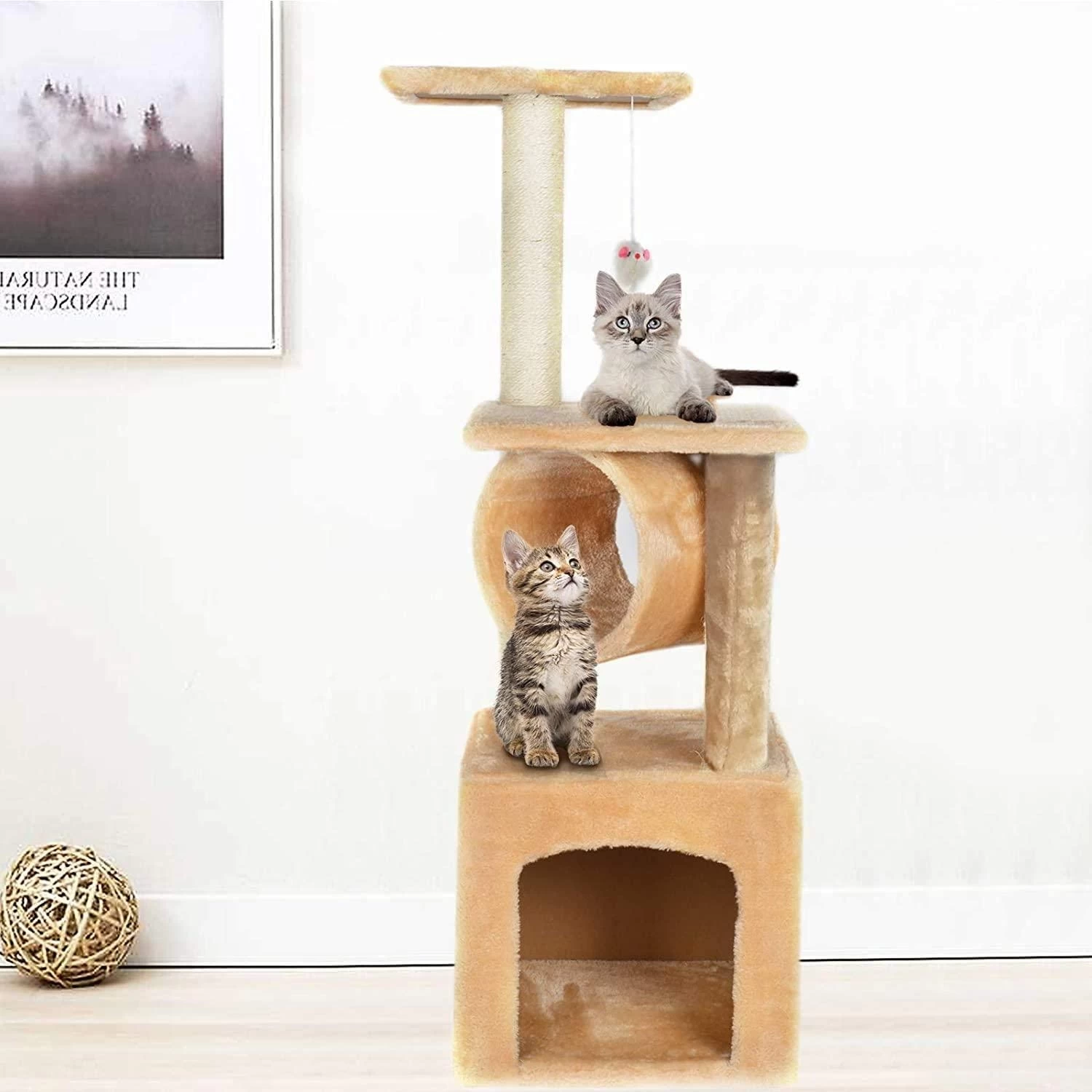 CA&T Ultimate Beginner Scratch Activity Tree 4 CA&T Ultimate Beginner Scratch Activity Tree - Image 2