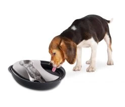 Pioneer Pet Plastic Raindrop Water Fountain -Pet Supplies Sale extra 1493