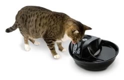 Pioneer Pet Plastic Raindrop Water Fountain -Pet Supplies Sale extra 1494