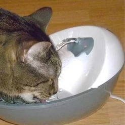 Pioneer Pet Serenity Water Fountain -Pet Supplies Sale extra 1505