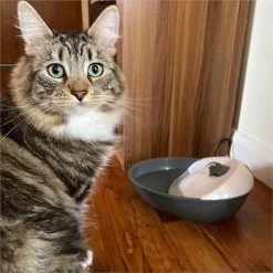 Pioneer Pet Serenity Water Fountain -Pet Supplies Sale extra 1508