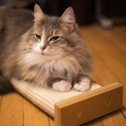 SmartCat Bootsies Combination Scratcher -Pet Supplies Sale extra 1554