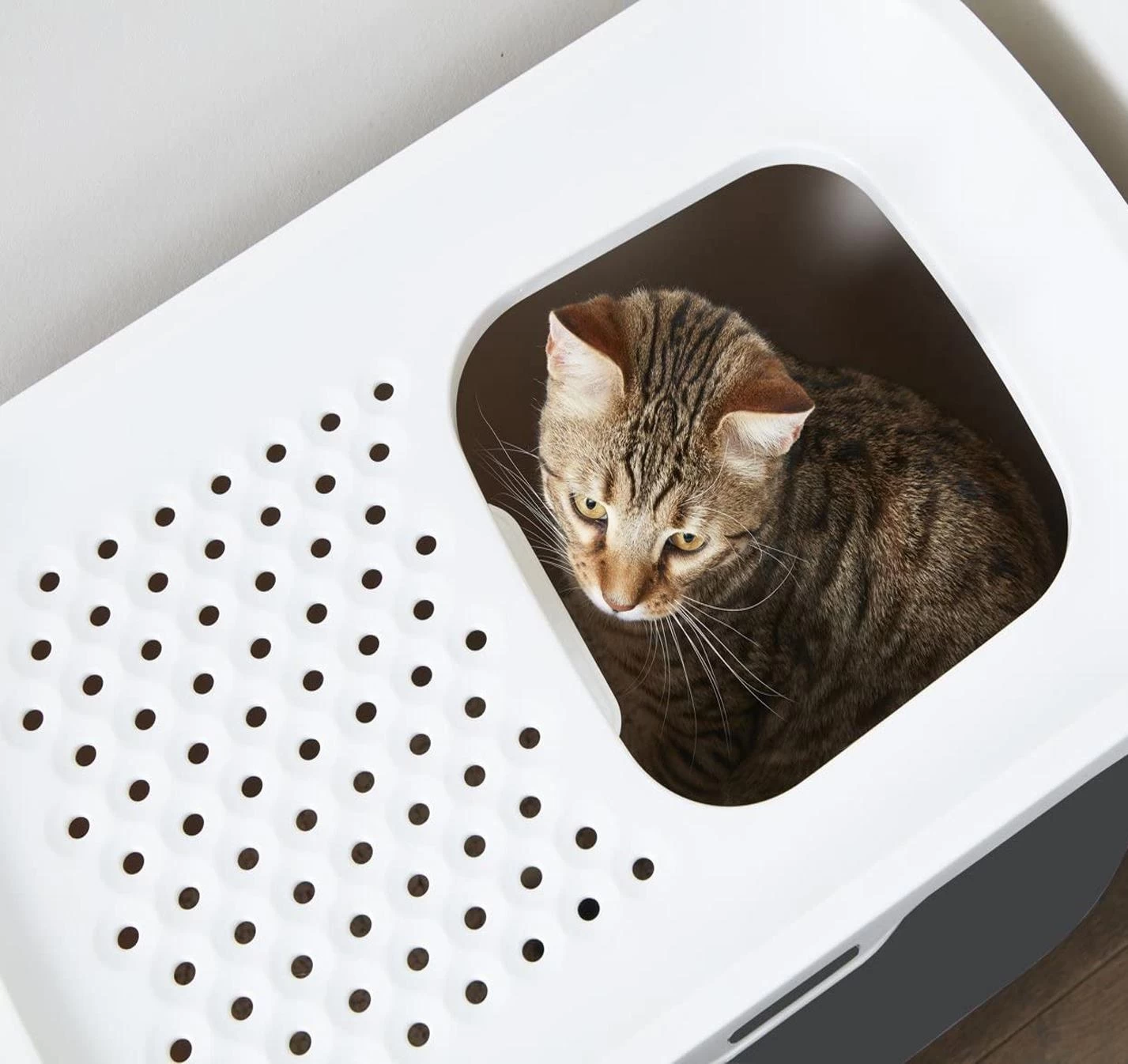 Savic Hop In Litter Box Bluestone/White 4 Savic Hop In Litter Box Bluestone/White - Image 2