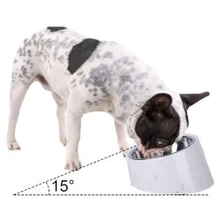Super Design 15 Degree Tilted Bowl Straw -Pet Supplies Sale extra 1604