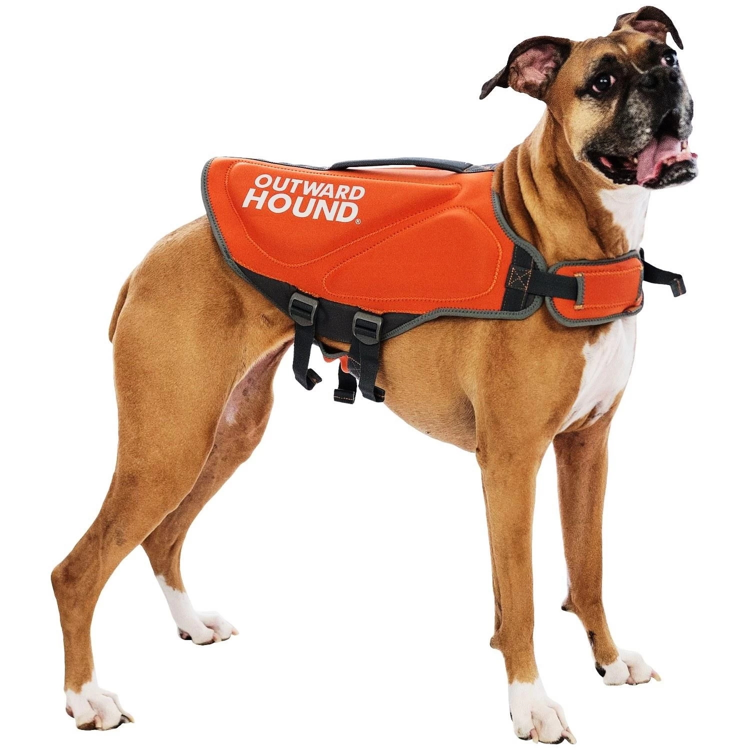 Outward Hound PupSaver Neoprene Life Jacket 6 Outward Hound PupSaver Neoprene Life Jacket - Image 4