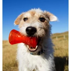 Bionic Urban Stick Orange -Pet Supplies Sale extra 294 1