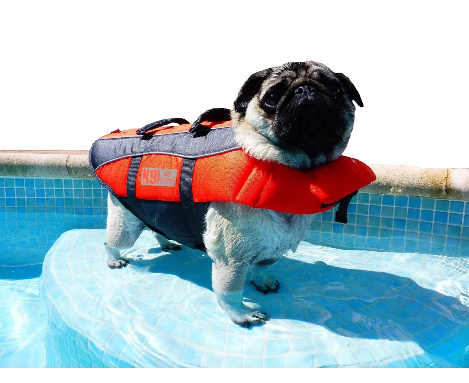 K9 Pursuits Float-Coat Life Jacket 7 K9 Pursuits Float-Coat Life Jacket - Image 5