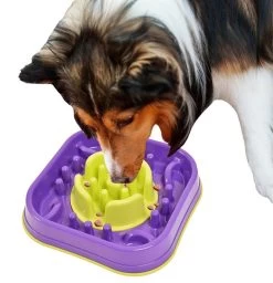 K9 Pursuits Switchers Purple -Pet Supplies Sale extra 488