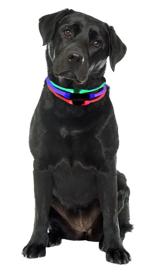 K9 Pursuits B-Seen LED Light Collar Red 4 K9 Pursuits B-Seen LED Light Collar Red - Image 2