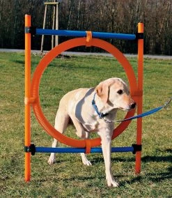 K9 Pursuits Agility Hoop Jump -Pet Supplies Sale extra 739