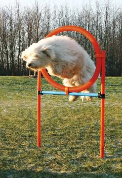 K9 Pursuits Agility Hoop Jump -Pet Supplies Sale extra 740