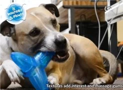 Petstages ORKA Jack -Pet Supplies Sale extra 769