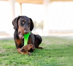 Bionic Urban Stick Green -Pet Supplies Sale extra 798