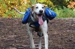 K9 Pursuits K9 Trail Blazer Back Pack -Pet Supplies Sale extra 983