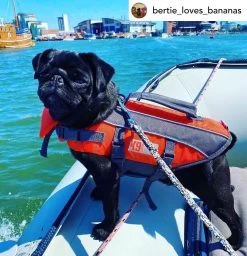 K9 Pursuits Float-Coat Life Jacket - Puppy -Pet Supplies Sale extra 985