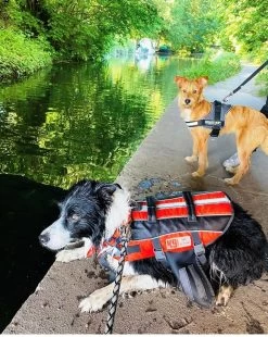 K9 Pursuits Float-Coat Life Jacket 10 K9 Pursuits Float-Coat Life Jacket -Pet Supplies Sale extra 986 1