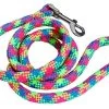 Fluorescent Blue, Yellow & Pink Braided Lead 3/4" Wide X 48" Long -Pet Supplies Sale main 1030