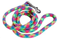 Fluorescent Blue, Yellow & Pink Braided Lead 3/4" Wide X 48" Long