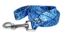 Blue Bandana Lead