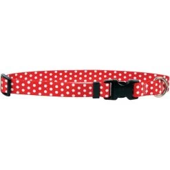 Red Polka Dot Collar