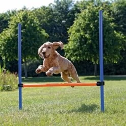 K9 Pursuits Agility High Jump