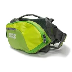Outward Hound DayPak Green