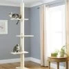 CA&T Ultimate Floor To Ceiling Scratch Climber
