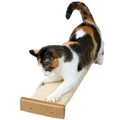 SmartCat Bootsies Combination Scratcher