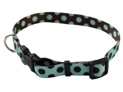 Blue Brown Polka Collar