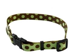 Green & Brown Polka Collar